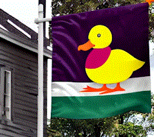 Flag of Ducktown.